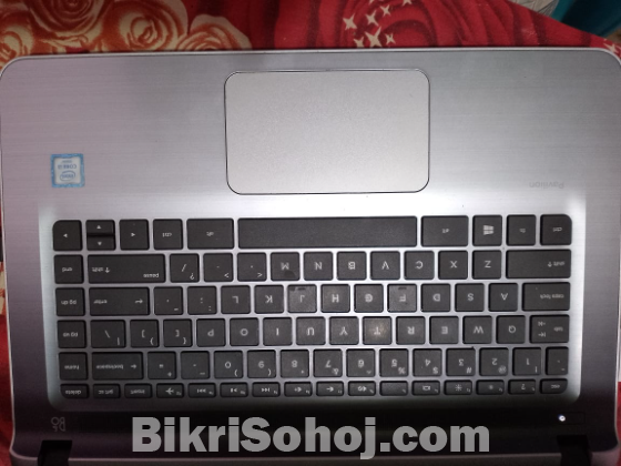 HP  Laptop